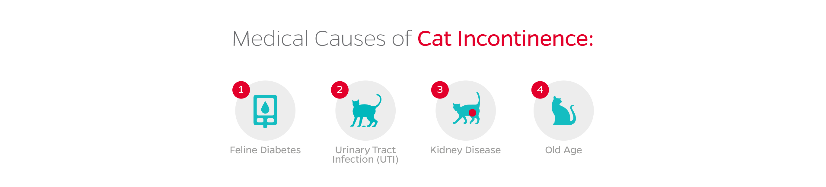 What causes urine incontinence in cats