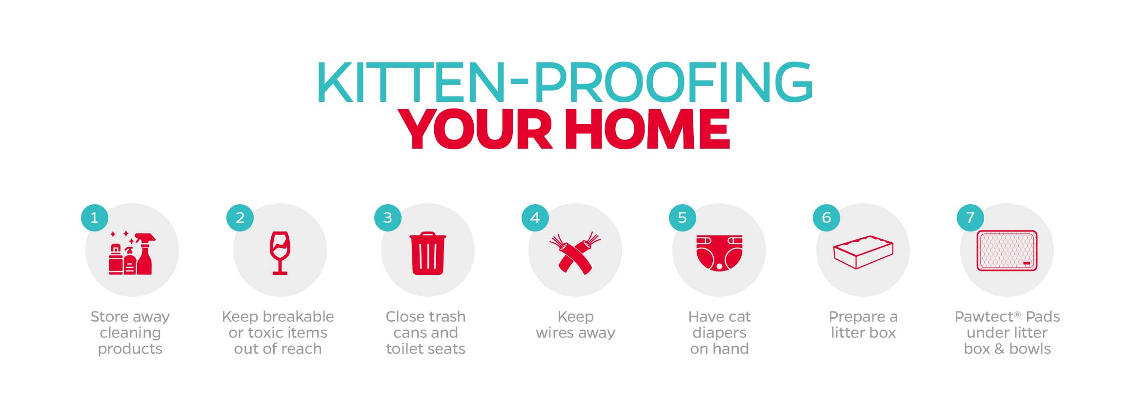 how to kitten proof your home, raising a kitten