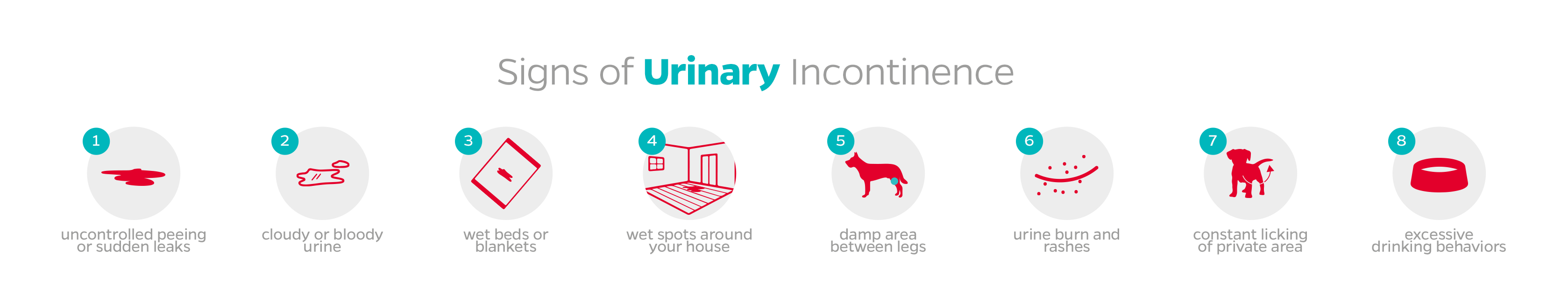 Signs of urinary incontinence in dogs