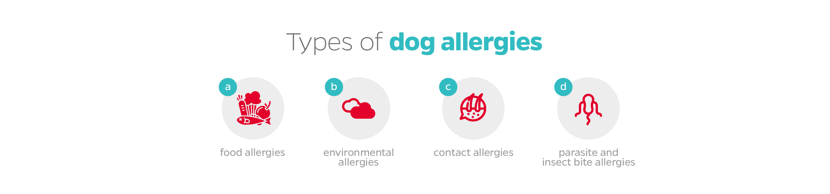 best allergy supplements for dogs, dog supplements for skin allergies