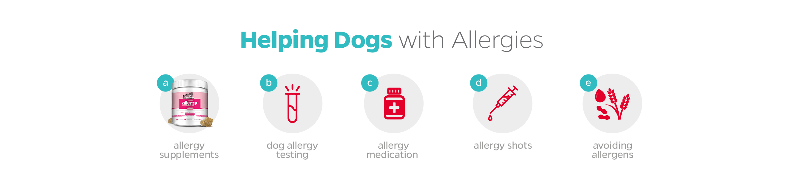 best dog food for allergies, dog food for allergies and dog allergy medicine