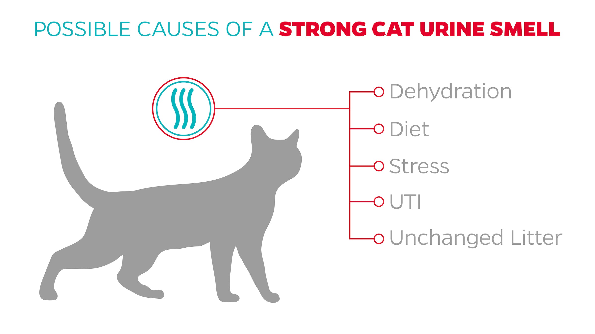 cat pee smells like ammonia 