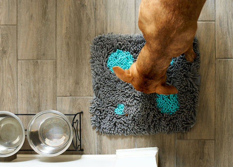 Why utilizing a Snuffle Mat will benefit your pup's brain! - District Dogs
