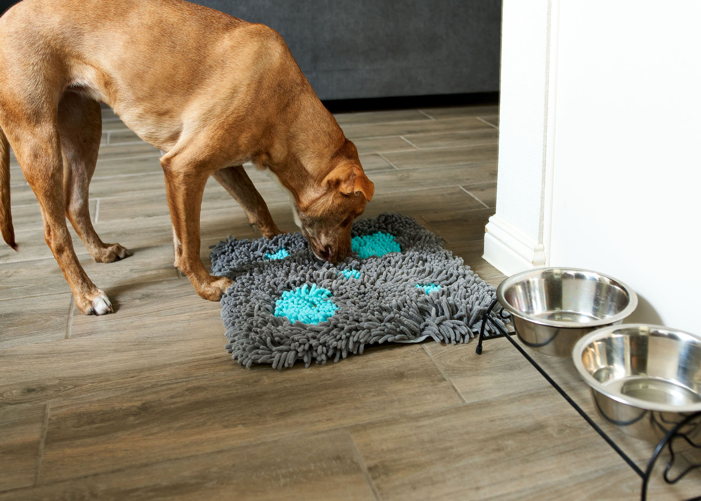 Puzzle Feeder Snuffle Mat for Dogs, Lick Mat for Dogs to Slow Down Eating, Dog  Puzzle