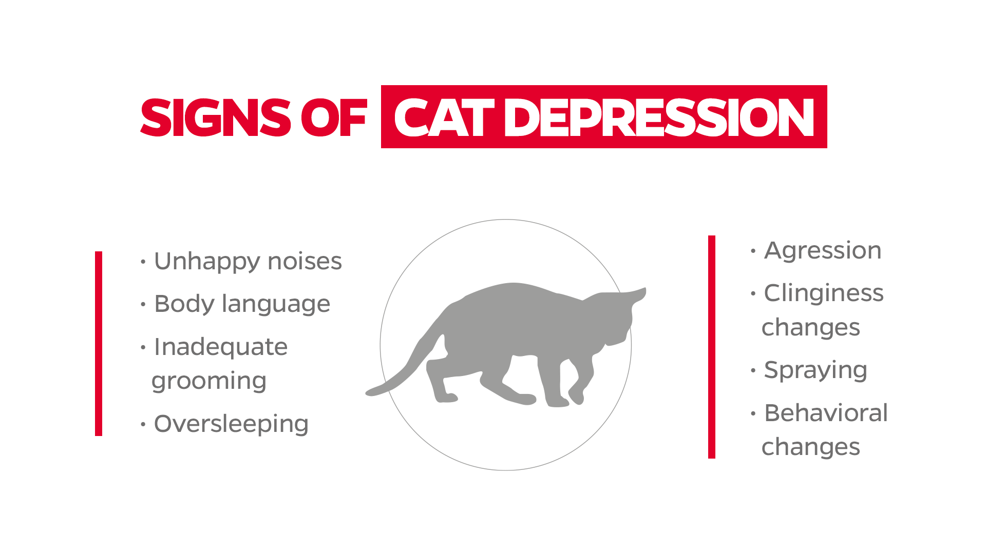 depression in cats, is my cat depressed? 