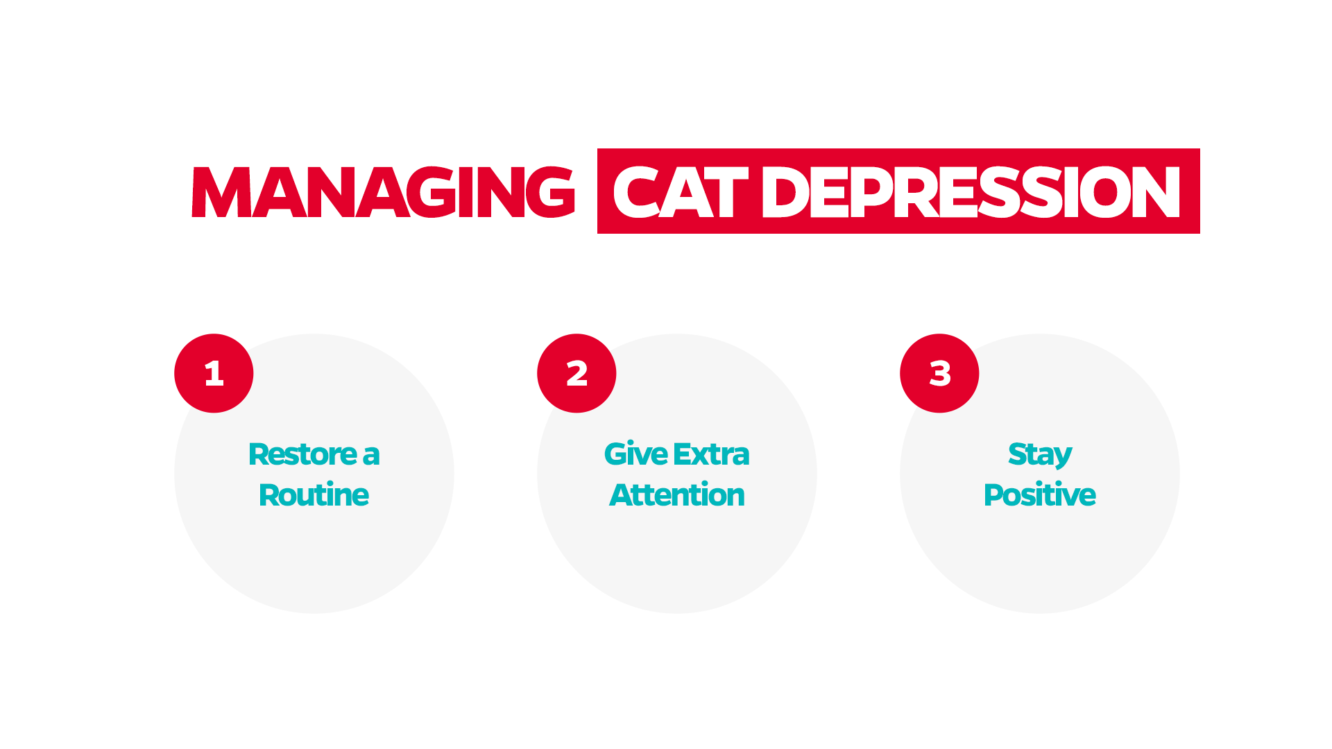 how to tell if a cat is sad, helping depression in cats