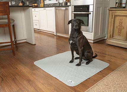 dog potty pad