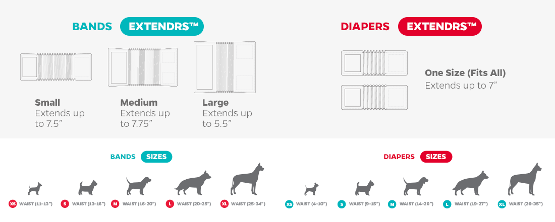 Belly Bands Size Guide