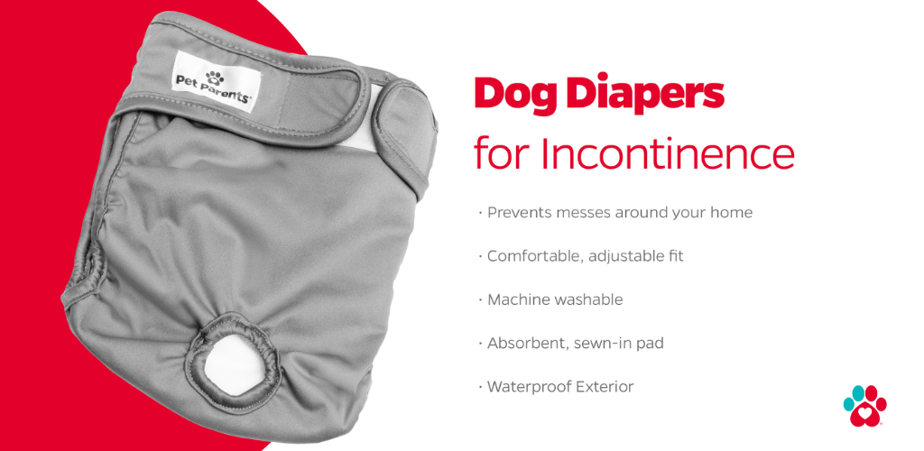 dog diapers for fecal incontinence in dogs, urinary incontinence in dogs