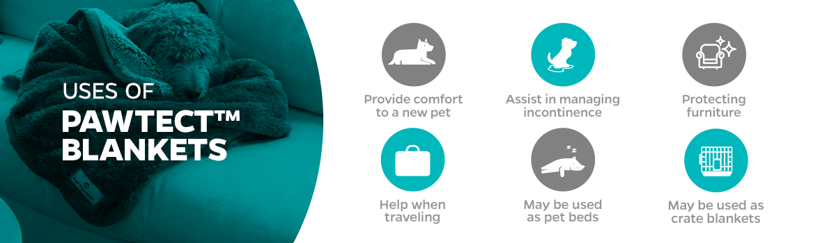 The Pet Parents® Guide to Pet Blankets