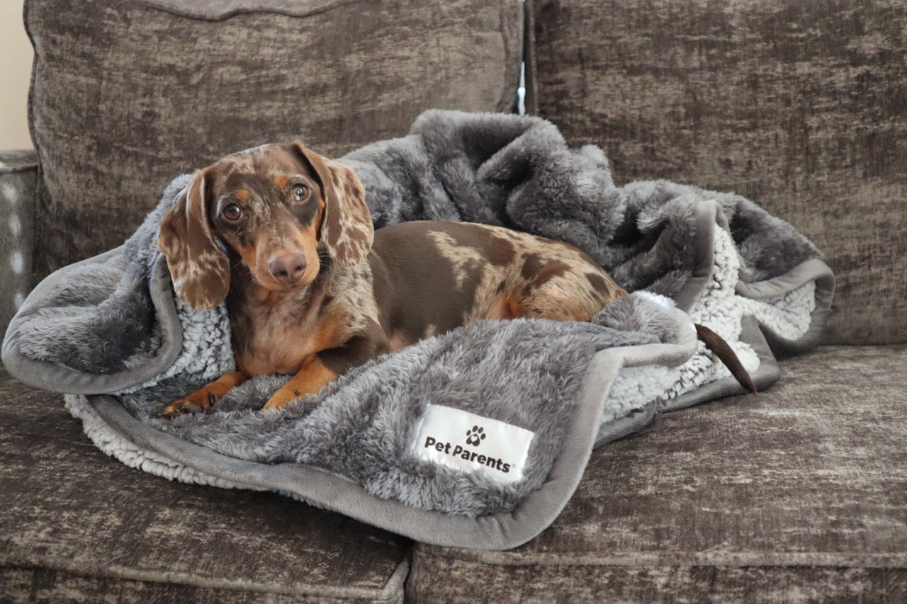 Waterproof Pet Blanket