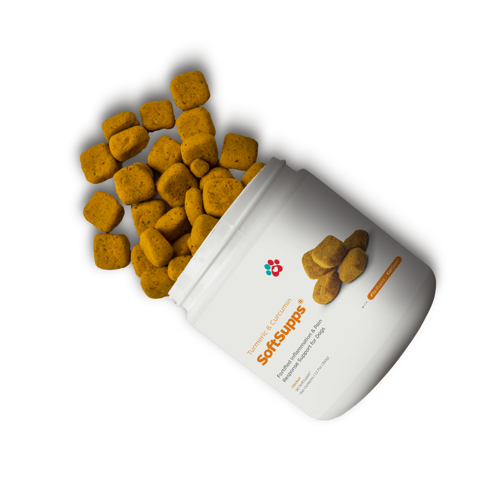 Supplements for Dogs