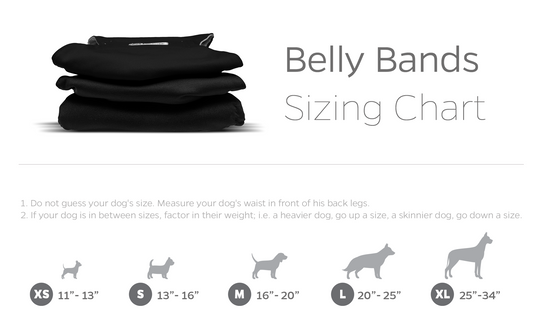 how do you make a dog belly band