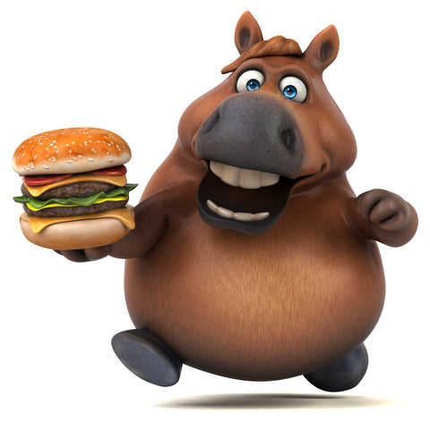 Horse with Burger