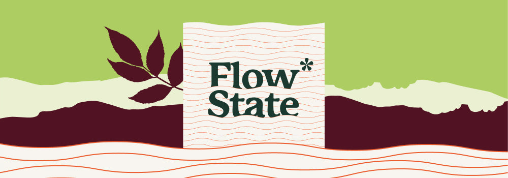 Understanding Flow State