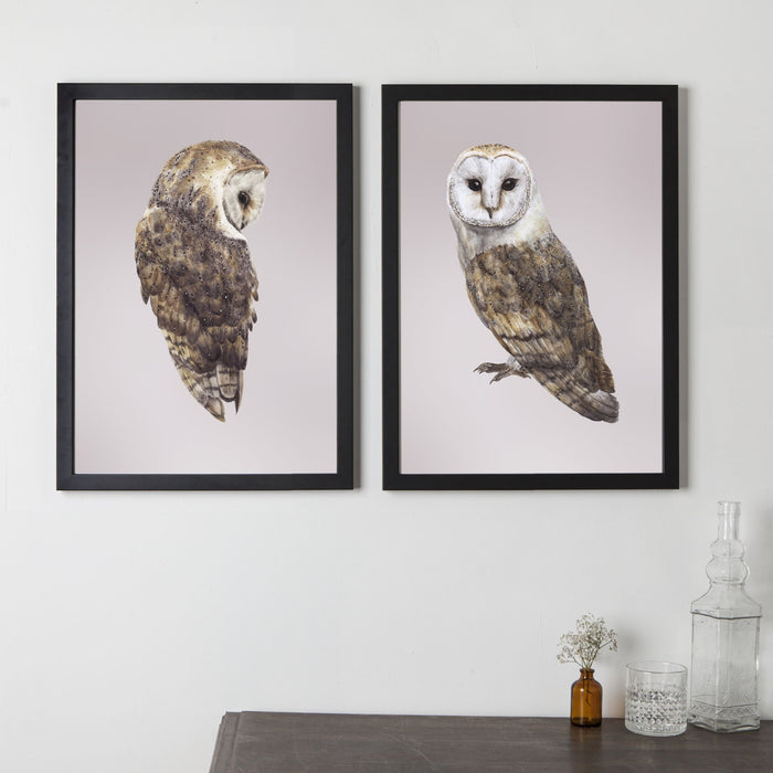Pair of Barn Owls Mates for Life Prints– Lucy Coggle