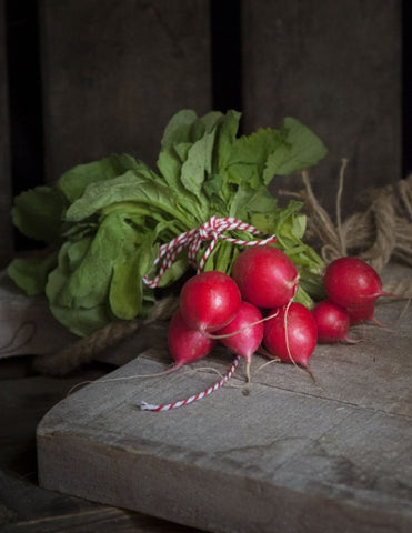 Bunch of bright Red Radish Cherry Belle