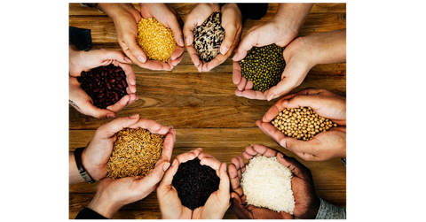 Picture of different seeds in hands