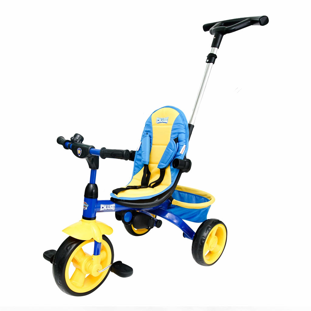 kidsembrace trike