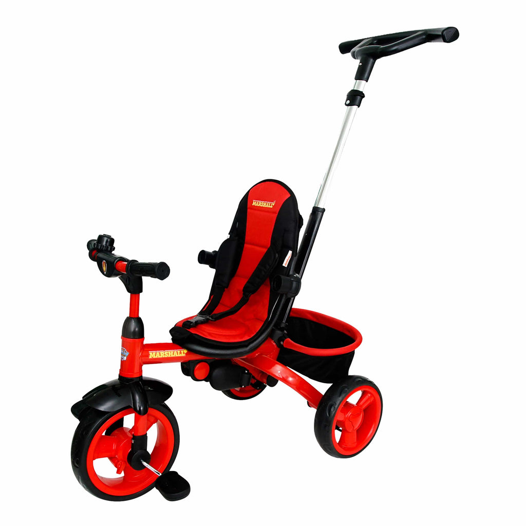 kidsembrace trike