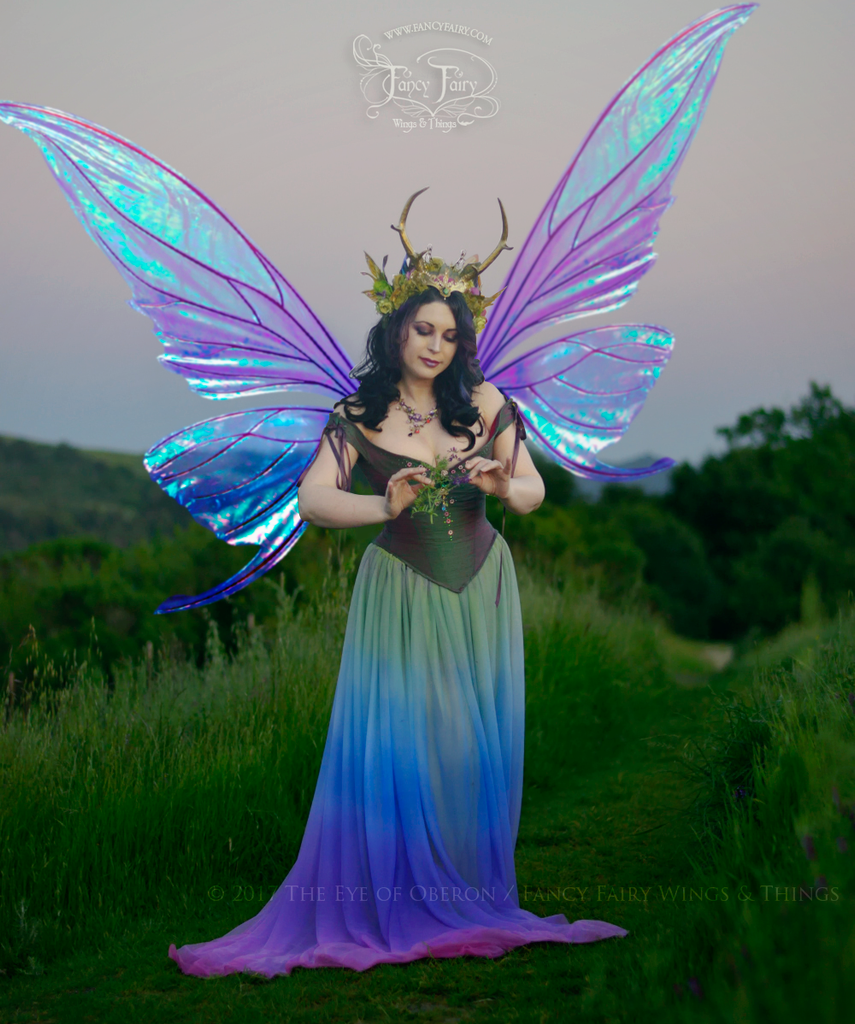 Titania Fairy Wings Overlays Fairy Wings Png Files To Edit Fancy Fairy Wings Things