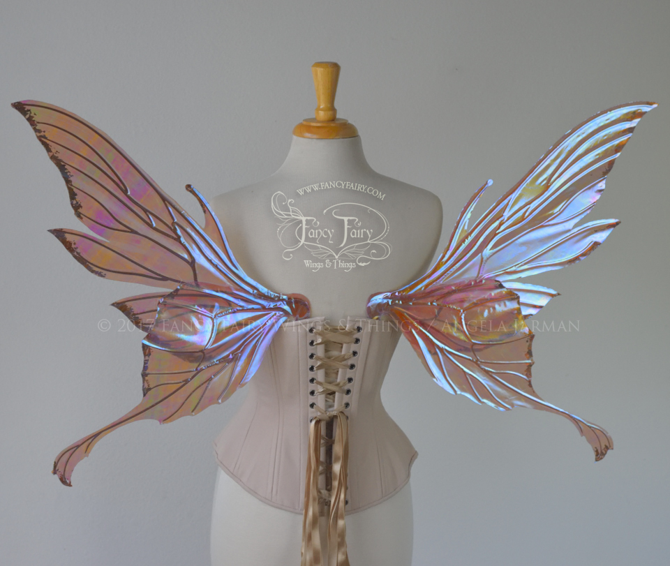 pastel fairy wings