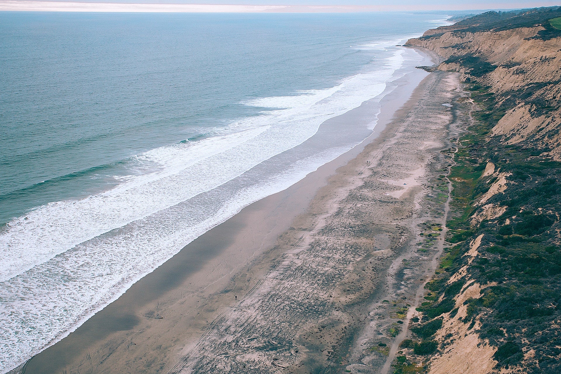 Torrey Pines Beach in San Diego