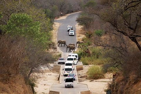 Kruger roads