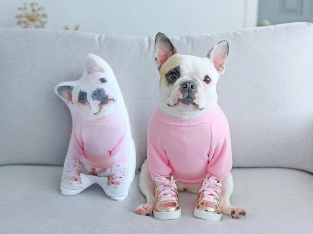 pillow that looks like your dog