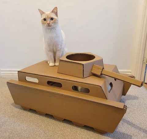 Cardboard Cat Tank