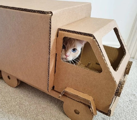 Cardboard Cat Truck