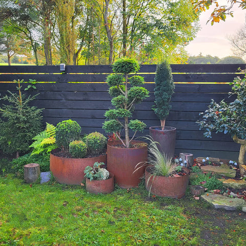 Bellamy Rustic Steel Planter