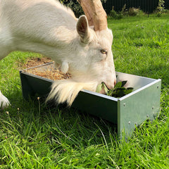 Galvanized Feeding Trough For Goats, Sheep, Pigs - Indoor Outdoors