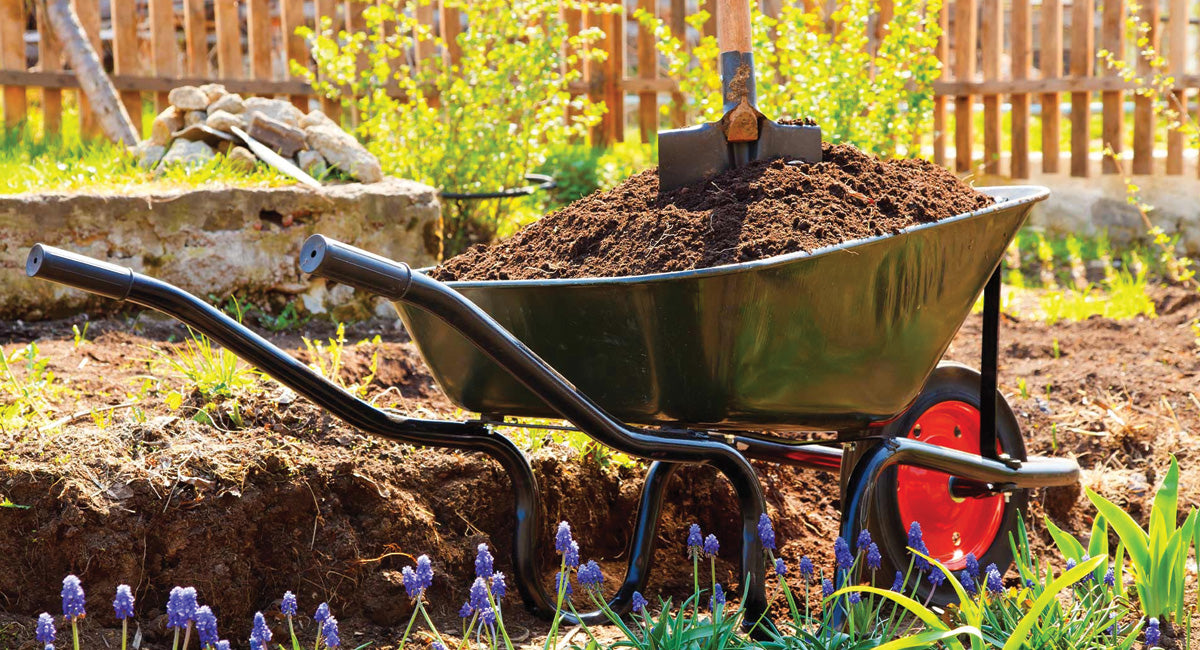 Wheelbarrow Garden Clearance