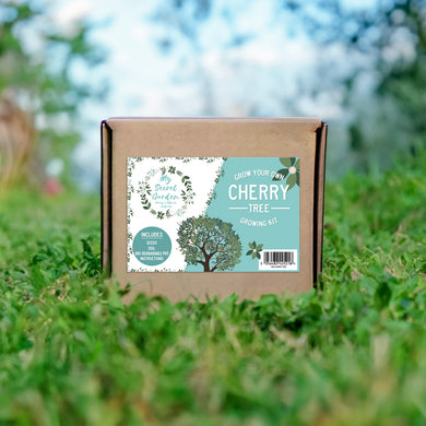 My Secret Garden Cherry Tree Growing Kit - Indoor Outdoors