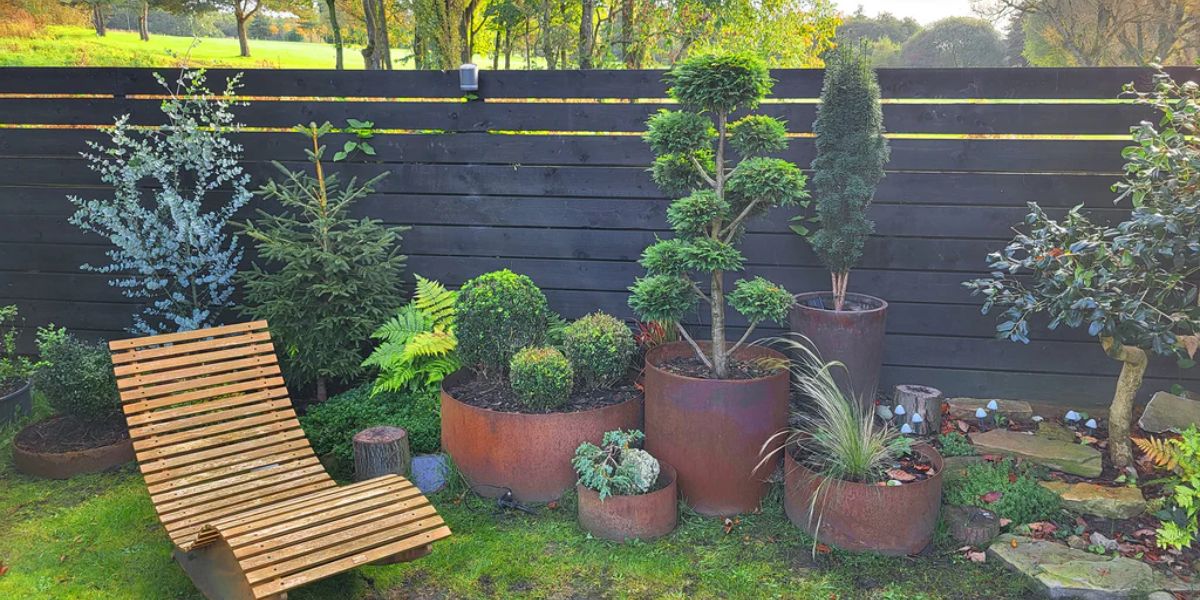 Image of Bellamy Bottomless planters and tree rings