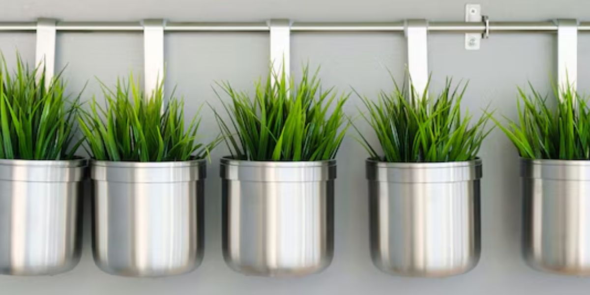 Stainless stell pots growing herbs