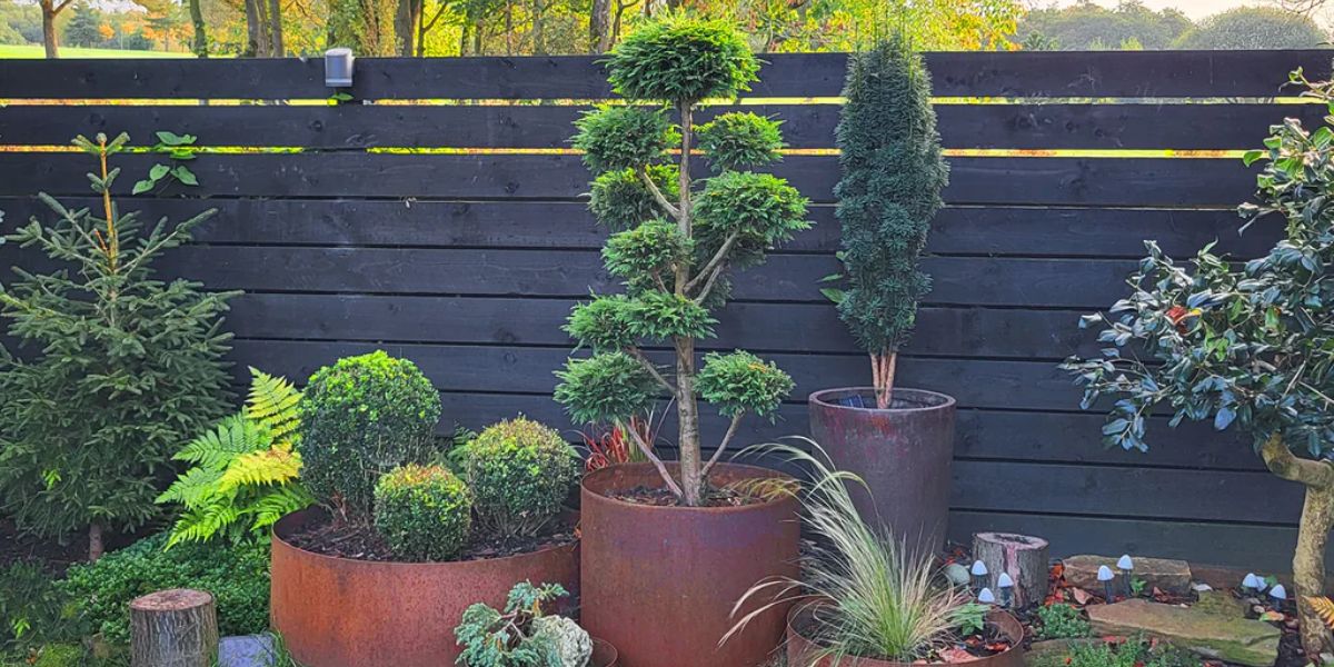 Bellamy rustic steel planters in various sizes