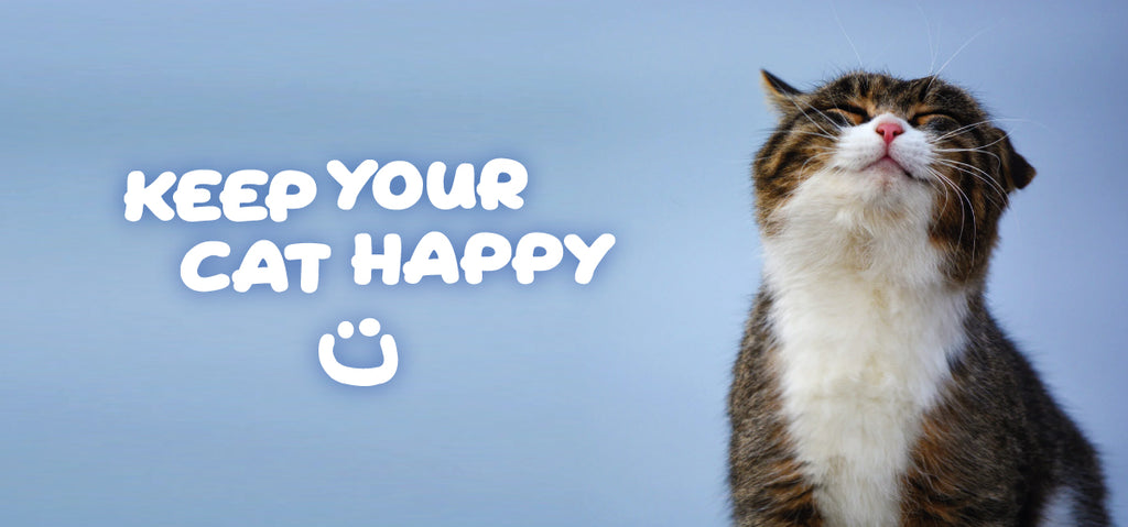 Keep Your Cat Happy Blog Header Image