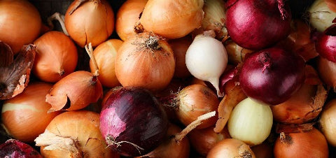 Onions - UK Top Vegetables to Grow at Home