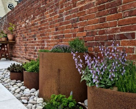 Rusted steel planters