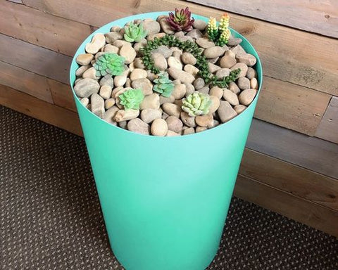 Image of Bellamy indoor planter with succulents growing