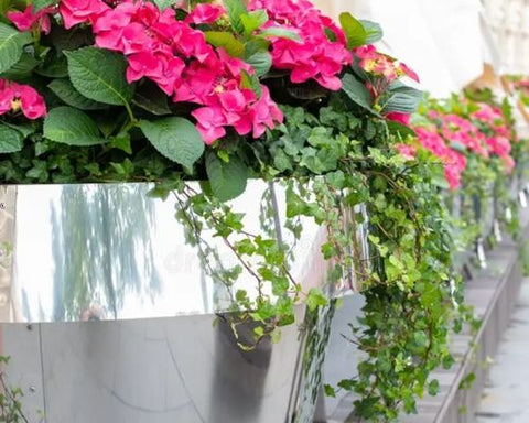 Cone shaped steel planters