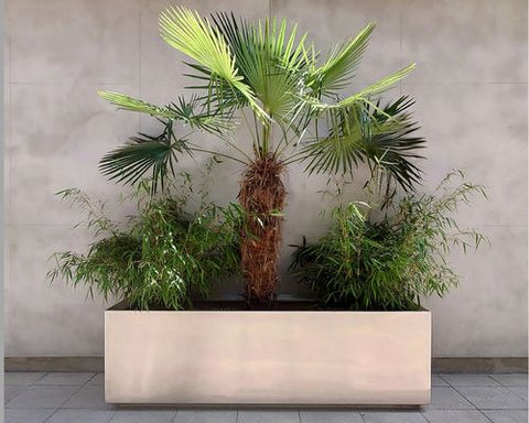 Stainless steel planter.