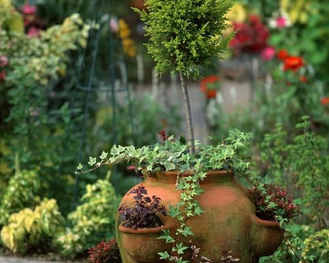 Ceramic pots