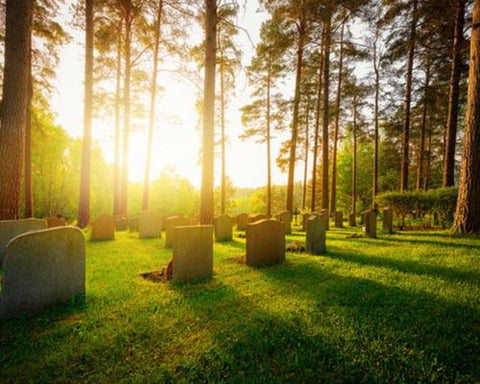 Image of the sun rising over a peaceful cemetary