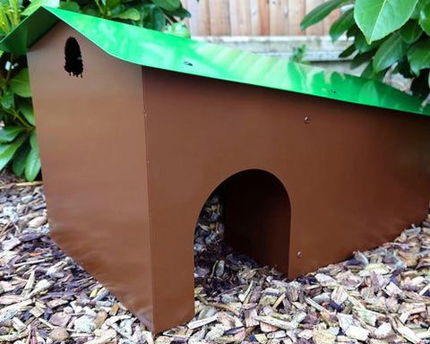 hedgehog house