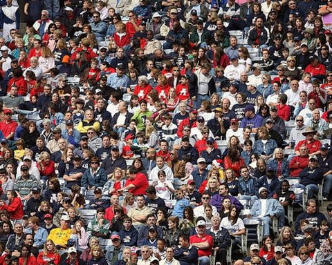 Crowd at a sporting event.