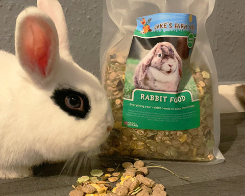 Rabbit Food