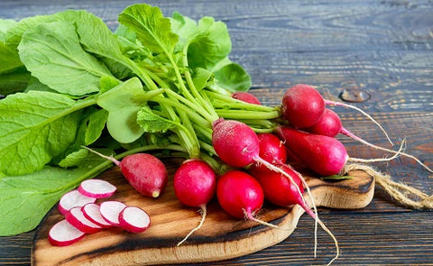 Radish - UK Top Vegetables to Grow at Home